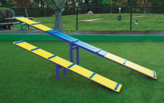 Dog Agility Equipment Seattle-Tacoma area - Teeter-Totter for balance