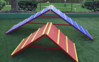 Dog Agility Equipment Seattle-Tacoma area - Climbing Walls